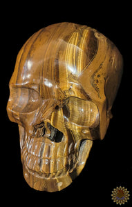 Tigers Eye Carved Skull