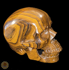 Tigers Eye Carved Skull
