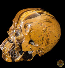 Tigers Eye Carved Skull