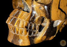 Tigers Eye Carved Skull