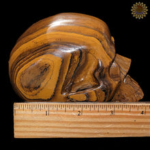 Tigers Eye Carved Skull