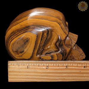 Tigers Eye Carved Skull