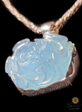 Aquamarine Rose