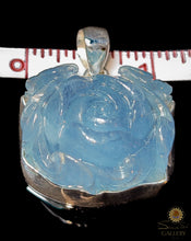 Aquamarine Rose