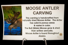 Ganesh Moose Antler Carving